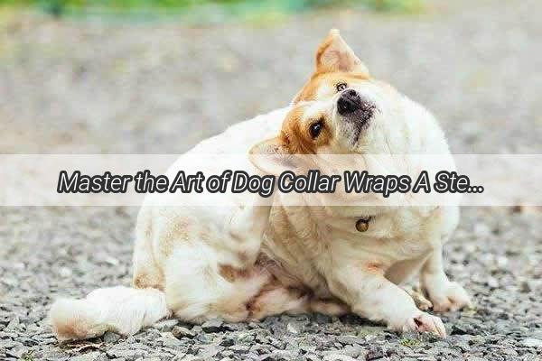 Master the Art of Dog Collar Wraps A StepbyStep Guide to Stylish  Secure Dog Fashion